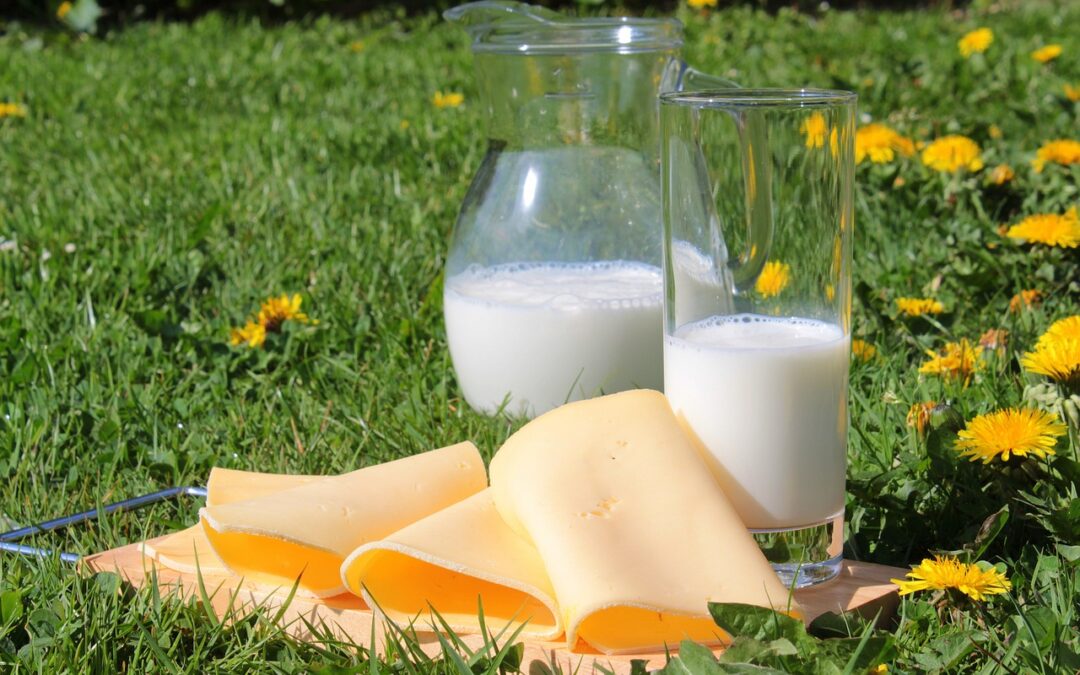 Milchbilanz: Erneut weniger Milch, Käse und Butter verbraucht