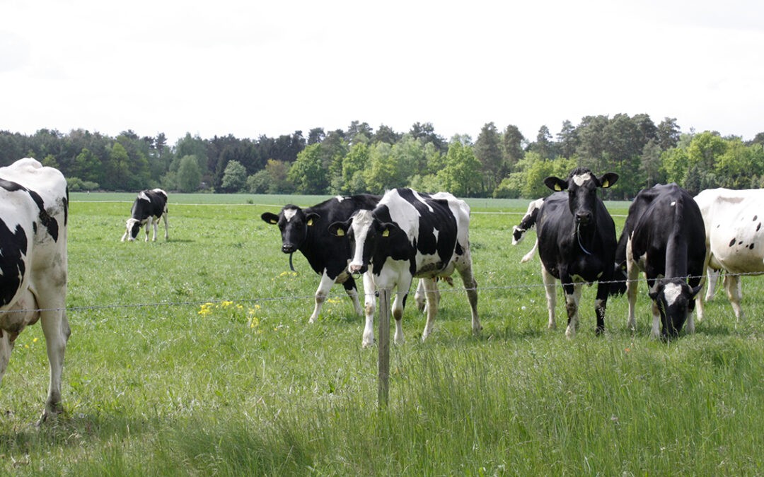 Ökosystemleistungen der landwirtschaftlichen Nutztierhaltung